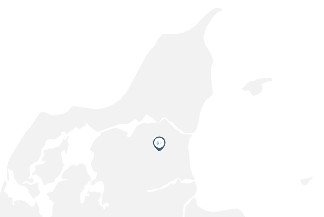 Bedemænd støvring